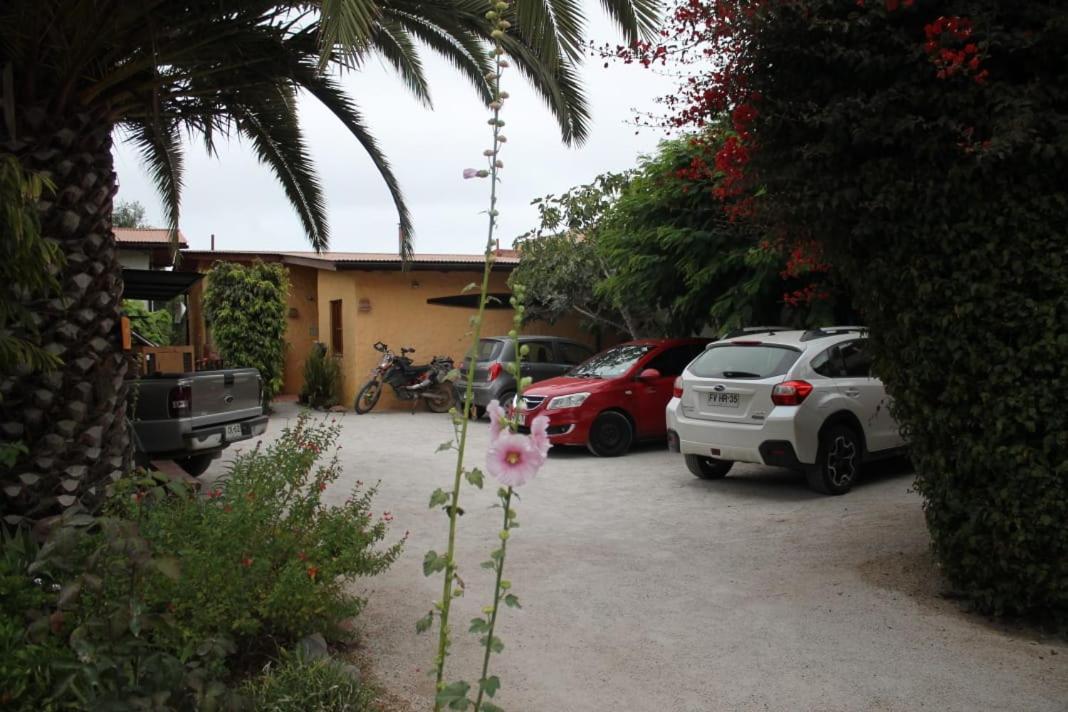 Hostal El Punto Ла Серена Екстериор снимка